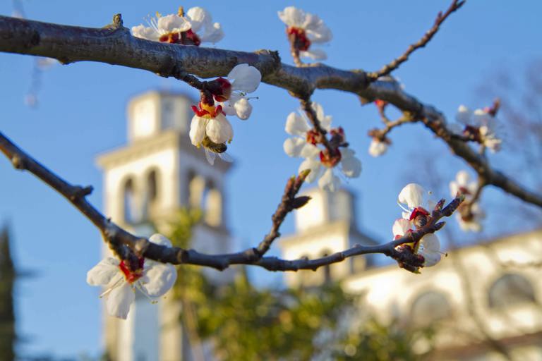 Sveta maša za družine in mlade