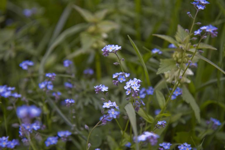 Sveta maša za družine in mlade