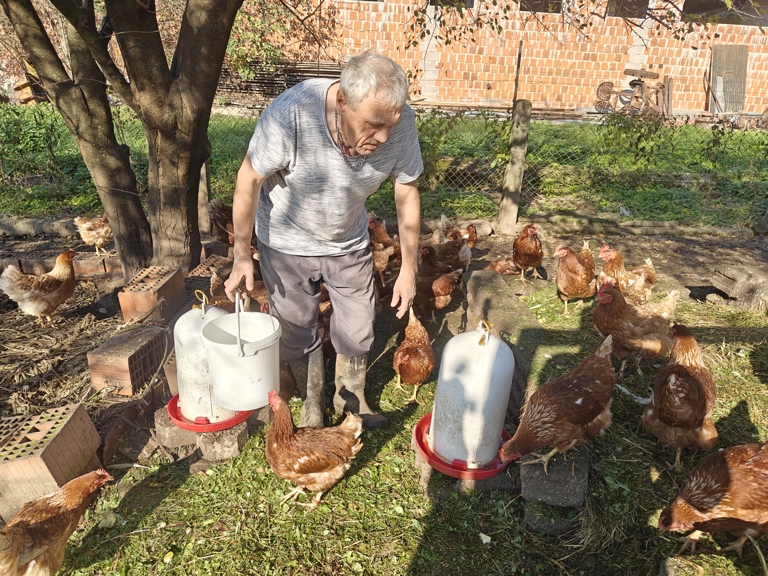 Hiša prostovoljstva