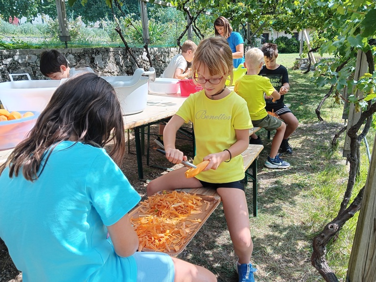 Utrinki poletja